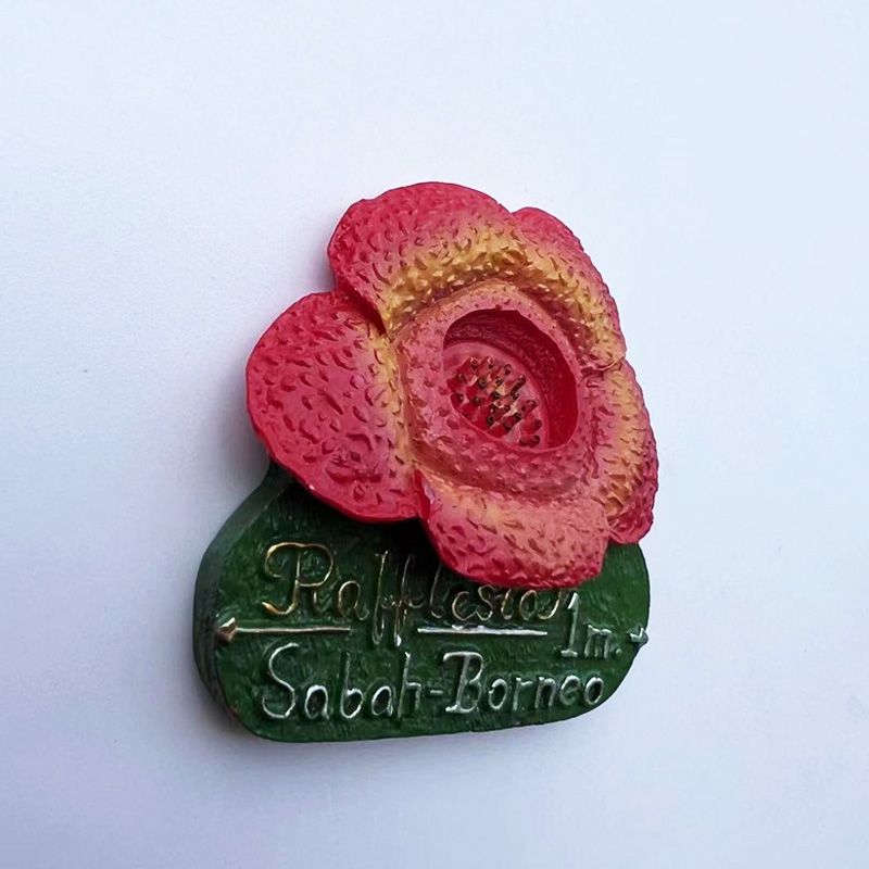 Malezya Sabah Borneo Raflesia  - Home Decor Malaysia incelemesi ve fiyatı