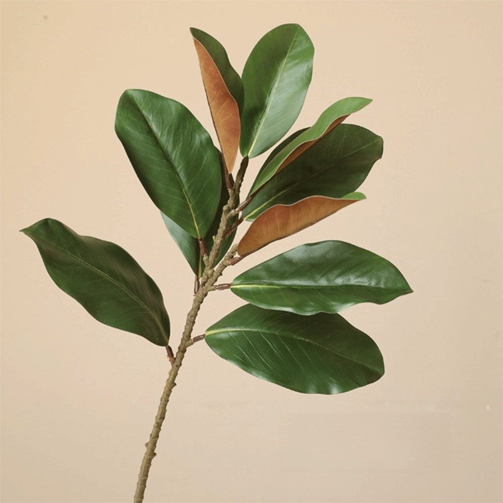 57 cm Yapay Manolya Yaprakları - Artificial Hanging Plants incelemesi ve fiyatı